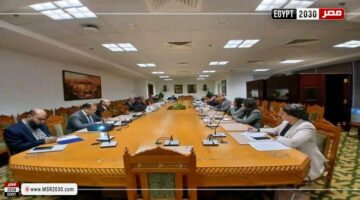انعقاد اللجنة الدائمة لمتابعة العلاقات المصرية الإفريقية | الأخبار – الجريدة