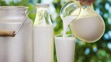 اللبن الرائب أم الحليب.. ما هو الأفضل للهضم وصحة الأمعاء؟ – الجريدة