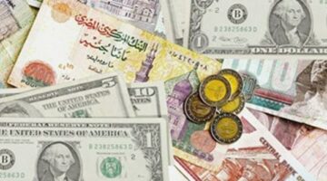 أسعار العملات مقابل الجنيه المصري 29 مارس 2025