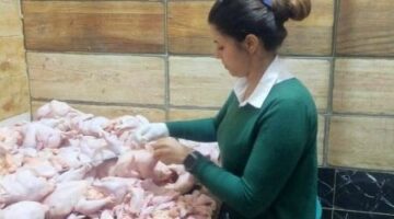 محافظ المنيا: تشديد الرقابة على الأسواق وضبط لحوم غير صالحة للاستهلاك الآدمي | محافظات – الجريدة