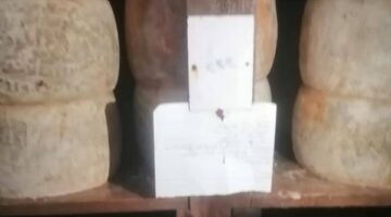 ضبط أطنان من الأغذية الفاسدة في فارسكور.. حملة مفاجئة بدمياط تكشف الكارثة – الجريدة