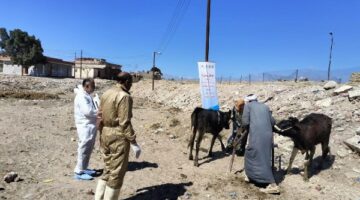 حصر مساحات القمح المنزرعة باستخدام تقنية الاستشعار عن بعد – الجريدة