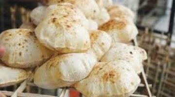 الجيزة تعلن الطوارئ استعدادًا لعيد الفطر