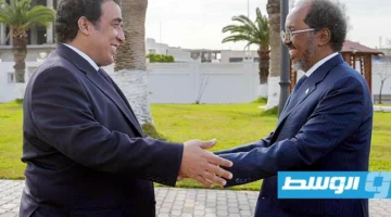 المنفيّ يتصل برئيس الصومال عقب نجاته من اغتيال