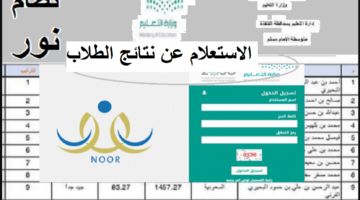 اكتشف نتائج نظام نور 2025 في ثوانٍ