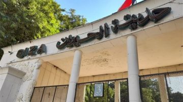 افتتاح حديقة حيوان الجيزة المطورة 2025: مواعيد مجانية