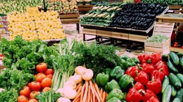 واردات غذائية أمريكية بقيمة 208 مليار دولار تفتح فرصاً للمنتجات المصرية