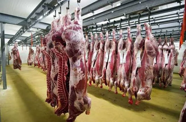 أسعار اللحوم اليوم: تحديث جديد للحوم البلدية والمجمدة والسودانية الأحد 13-4-2025