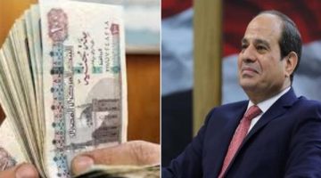 حزمة الحماية الاجتماعية: إضافة المواليد وزيادة الأجور والمعاشات للمصريين قريبًا