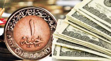 سعر الدولار الأمريكي اليوم الجمعة مقابل الجنيه: أحدث تحديثات السوق