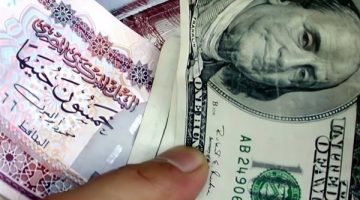 سعر الدولار اليوم مقابل الجنيه المصري: تحديث جديد بعد قرار المركزي