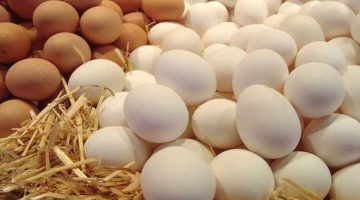 سعر كرتونة البيض اليوم الخميس 10-4-2025 في الأسواق للمستهلك.