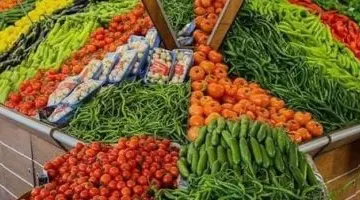 تعرف على أسعار الخضروات اليوم الأربعاء 11-6-2025 فى الإسماعيلية