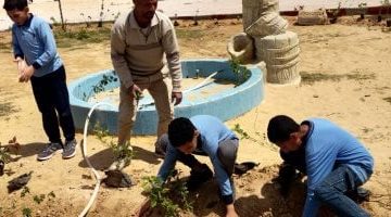 تعليم الإسكندرية: معسكرات لتجميل الفصول والطرقات وتشجير الأفنية بمبادرات مميزة