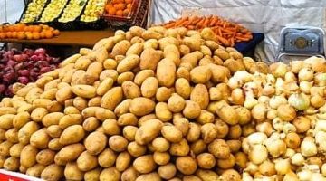 أسعار الخضروات اليوم في مطروح السبت 19-4-2025: البطاطس تبدأ من 8 جنيهات