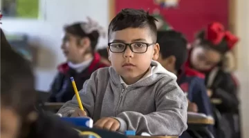 تحميل التقييمات الأسبوعية 2025 لجميع الصفوف بسهولة من بوابة التعليم الإلكتروني