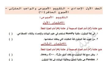 الكمبيوتر للصف الأول الإعدادي: مراجعات نهائية وتقييمات الأسبوع العاشر