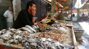 أسعار الأسماك والمأكولات البحرية 5-4-2025