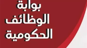 بوابة الوظائف الحكومية 2025: اكتشف التخصصات المطلوبة وأهم الفرص الشاغرة!