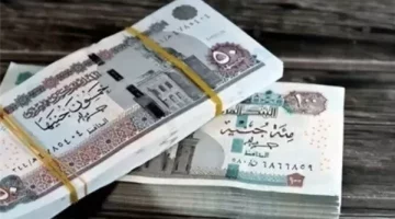 معاشات مايو في مصر: تعرف على موعد الصرف وفقًا للتأمينات الاجتماعية