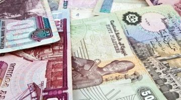 البنك المركزي يوقف طباعة أوراق نقدية معينة.