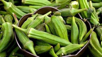 موعد انخفاض أسعار البامية بالأسواق