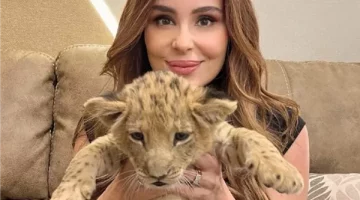 محمد البسطويسي: حقي بالقانون وحياة الناس ليست بلا قيمة