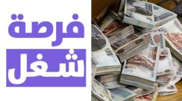 فرص عمل حقيقية: اكتشف أفضل الفرص الآن مع الحق والضلال