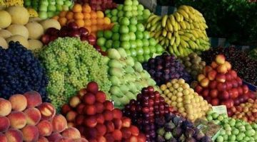 أسعار الفاكهة اليوم: انخفاض سعر الخوخ 10 جنيهات والمستورد يرهق الميزانية