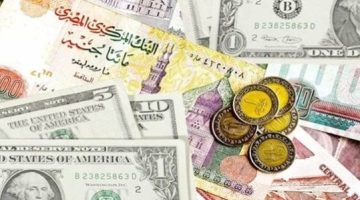 أسعار الدولار والعملات الأجنبية مساء اليوم