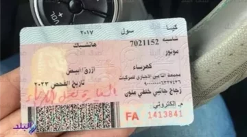 غرامات مخالفات المرور: تعرف على التفاصيل الكاملة وأهم المعلومات الآن