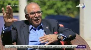 أستاذ باطنة يقترح خطة بـ16 مليار دولار لدعم الاقتصاد المصري