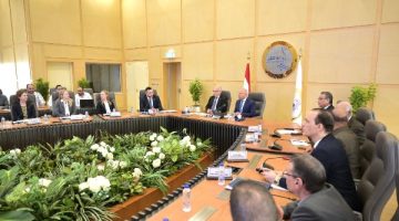 مصنع سيارات وأتوبيسات جديد.. وزير الصناعة يبحث التعاون مع سفير السويد بالقاهرة