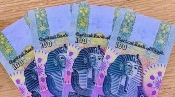 100 جنيه بلاستيكية في مصر؟ اكتشف الحقيقة الكاملة حول إصدارها