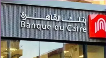 وظائف تكنولوجيا المعلومات: اكتشف كافة التفاصيل والشواغر المتاحة الآن!