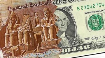ارتفاع الدولار والذهب وتطورات البترول والاكتشافات