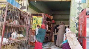 أسعار الدواجن اليوم على “الحق والضلال”