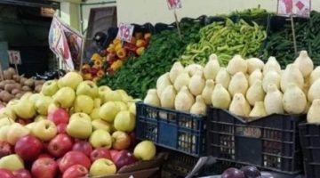 زيادة أسعار السولار: كيف ستؤثر على ارتفاع أسعار الخضراوات والفواكه؟