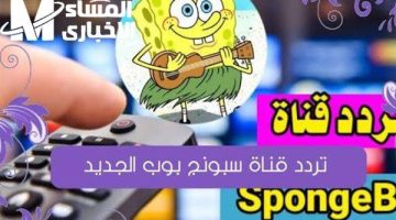 سبونج بوب يعود: تردد قناة 2025 على النايل والعربسات
