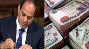 <p><strong>زيادة المعاشات 15%: تفاصيل جدول شرائح التأمينات الاجتماعية وتنفيذ حزمة الحماية الاجتماعية بعد توجيهات الرئيس السيسي</strong></p>