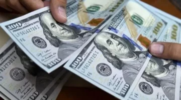 سعر الدولار اليوم في مصر: تحديث جديد بعد قرار خفض الفائدة من البنك المركزي