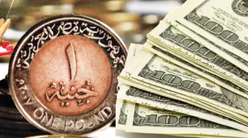 سعر الدولار بالبنك الأهلي اليوم 3-4-2025
