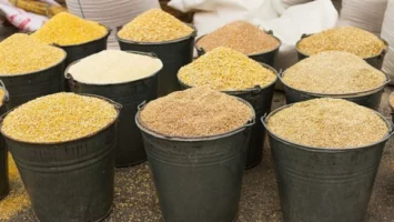 انخفاض الذرة وارتفاع الردة، أسعار الأعلاف والحبوب اليوم الأربعاء بالأسواق