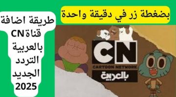 ثبت تردد قناة نتورك بالعربية وتابع توم وجيري وجميع أغاني الأطفال