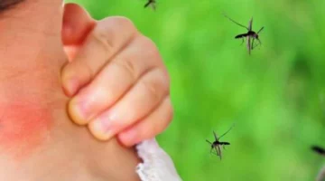 عاجل .. ألم المفاصل قد ينذر بإصابتك بفيروس خطير.. أعراض لا يجب تجاهلها