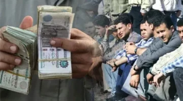 خطوات الاستعلام عن منحة العمالة غير المنتظمة 2025.. الرابط الرسمي