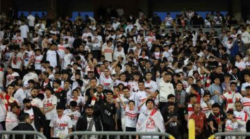 عضو اتحاد الكرة يُدافع عن بيبو بعد استبعاده من الجهاز الفني الجديد لـ الزمالك بسبب الجماهير