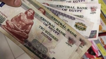 بشرى سارة لـ 4.5 مليون موظف وعامل بالجهاز الإداري للدولة هذا الشهر بتوجيهات من الرئيس السيسى