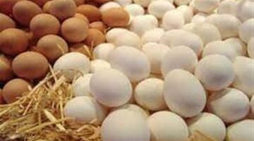 تراجع أسعار بيض المائدة في مصر رغم ارتفاعه عالميا