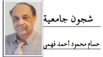 قانون الإيجارات القديمة..هل نحكم بمعايير اليوم على قوانين الأمس ؟